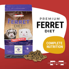 Marshall Pet Products gros plan des croquettes montrant texture appétente