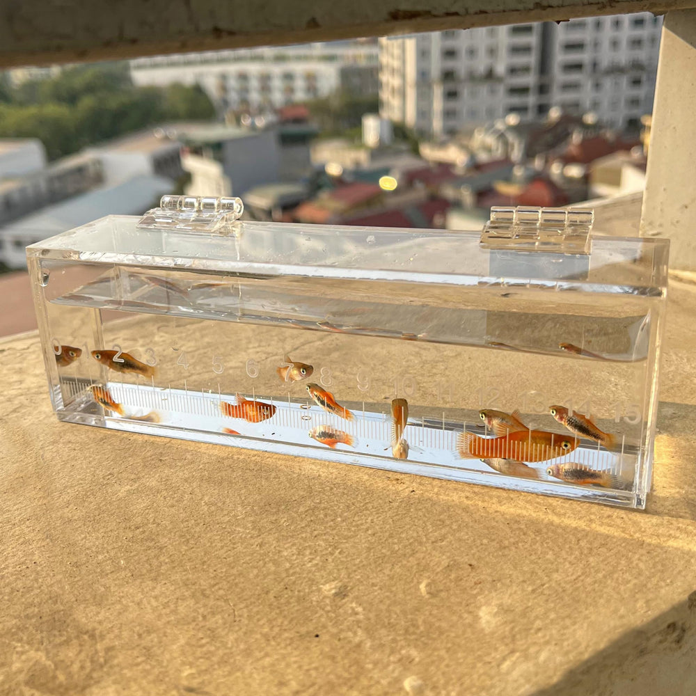 Marsrut boîte utilisée en extérieur lors d'une session de pêche pratique