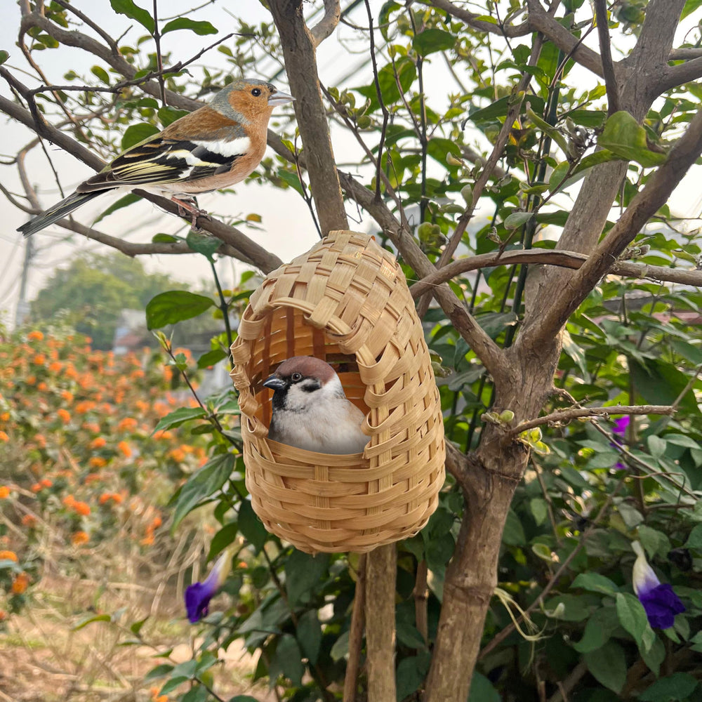 Marsrut oiseau à l'entrée illustrant accès protégé confort
