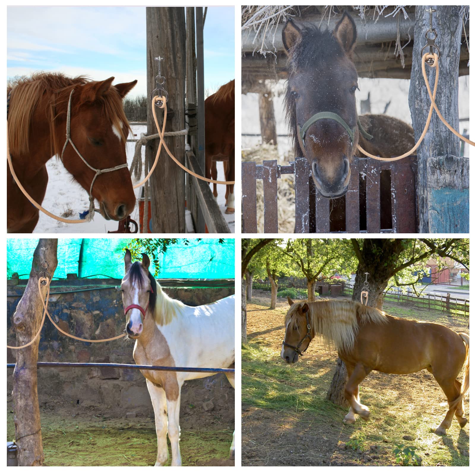Martx anneau en usage sellerie facilitant pansage sécurisé du cheval