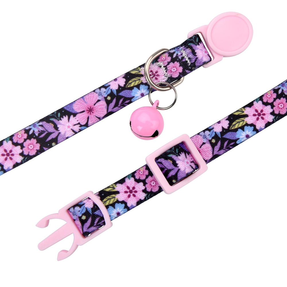 MarukoPet collier porté sur chat comparé à règle pour vérification taille sûre
