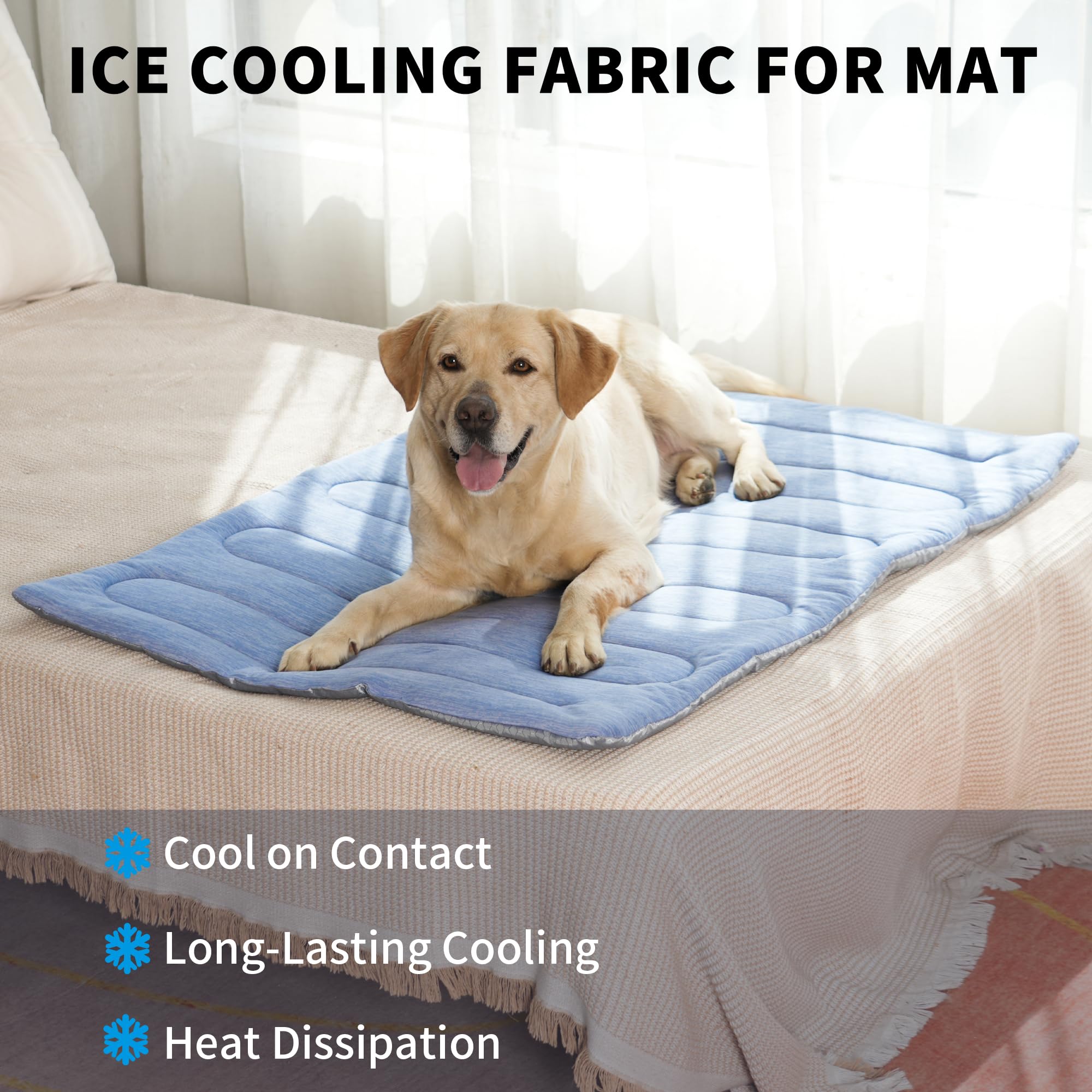 MARUNDA comparaison taille montre tapis adapté à grand chien