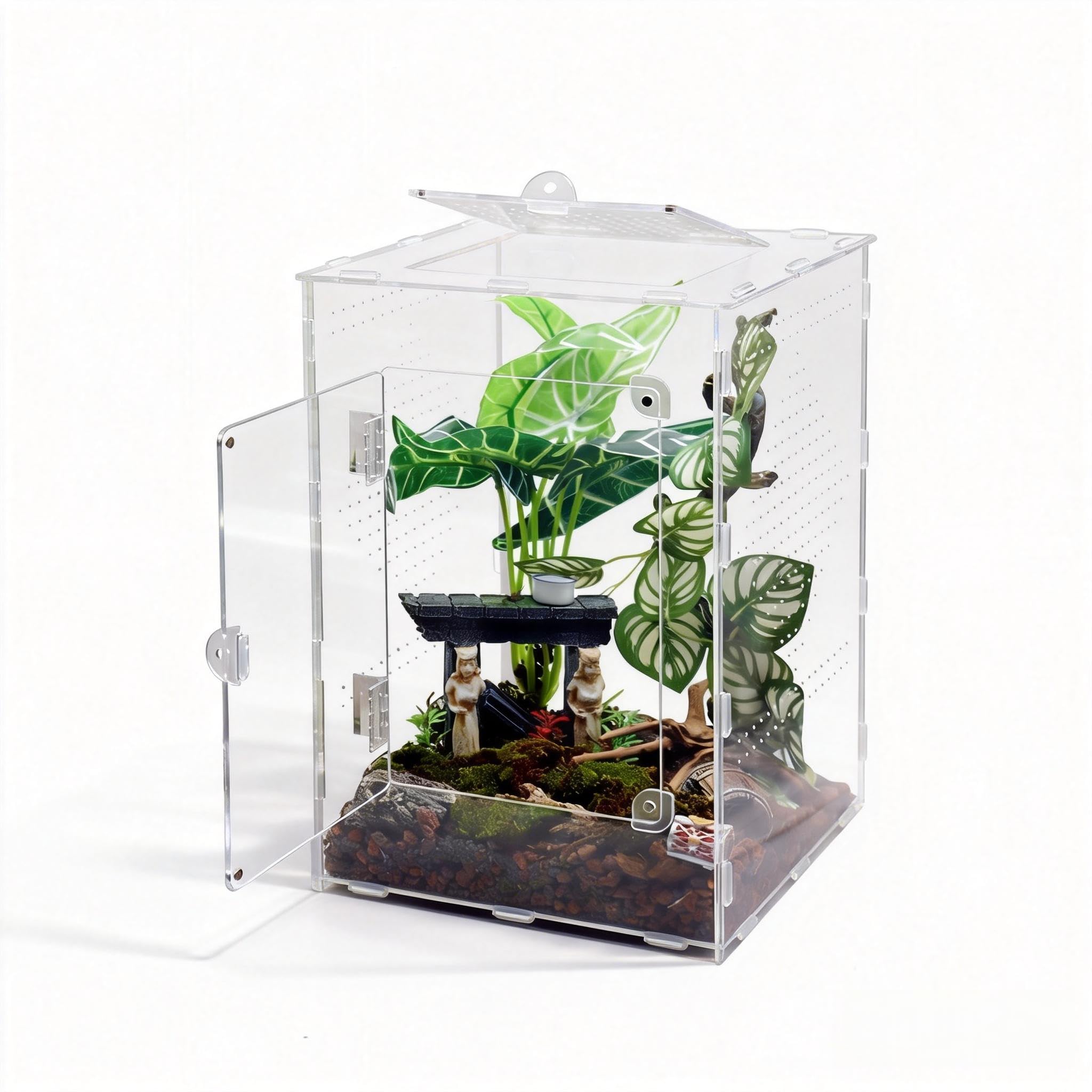 MaryCarrie vue de face montrant habitat transparent et visibilité optimale
