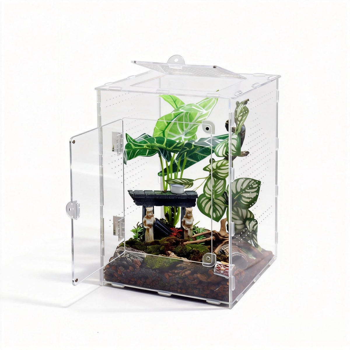 MaryCarrie vue de face montrant habitat transparent et visibilité optimale