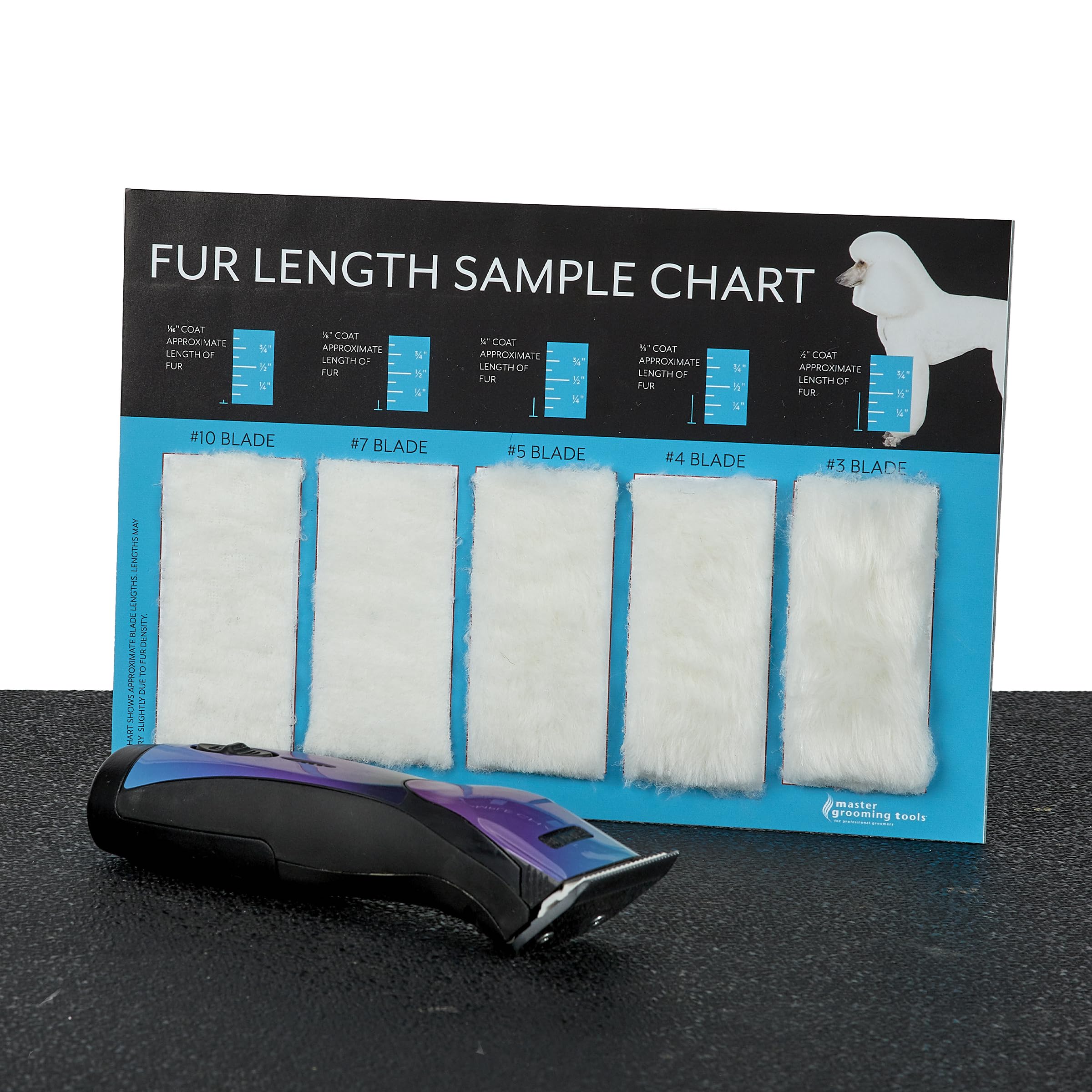 Master Grooming Tools en utilisation avec client montrant aide visuelle lors consultation