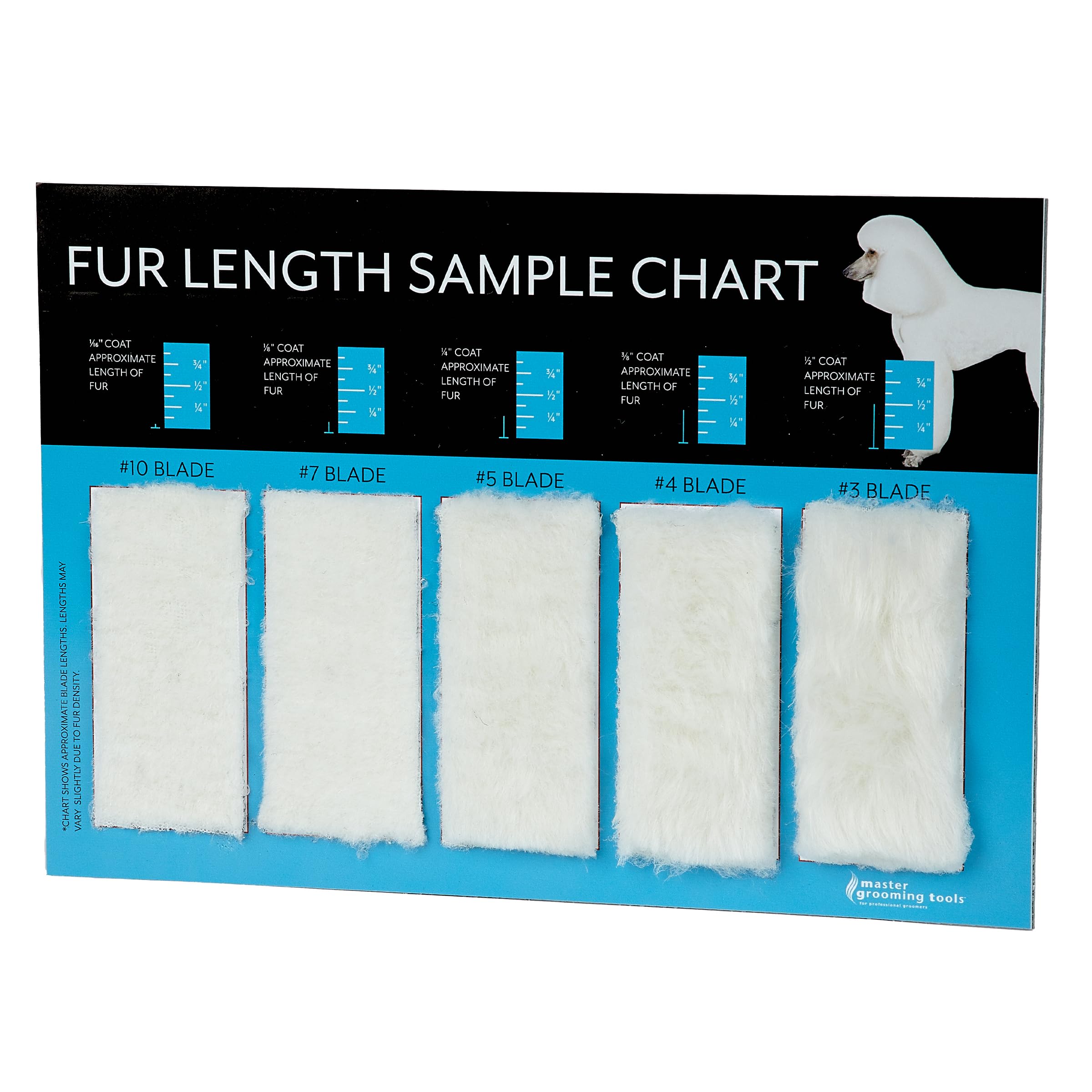 Master Grooming Tools gros plan des fibres illustrant la texture et la longueur nette