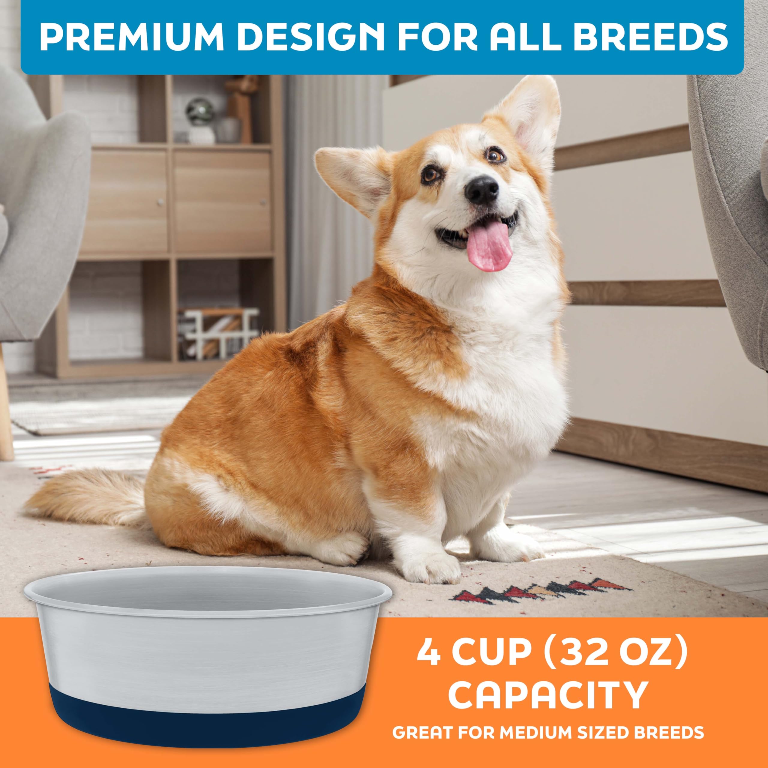 Master Pet Supply gamelle dans coin cuisine décoré, intégration esthétique