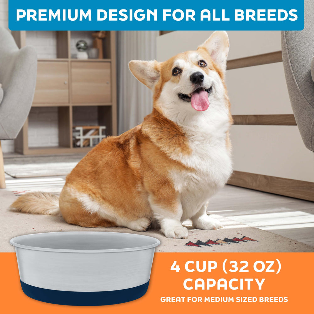 Master Pet Supply gamelle dans coin cuisine décoré, intégration esthétique