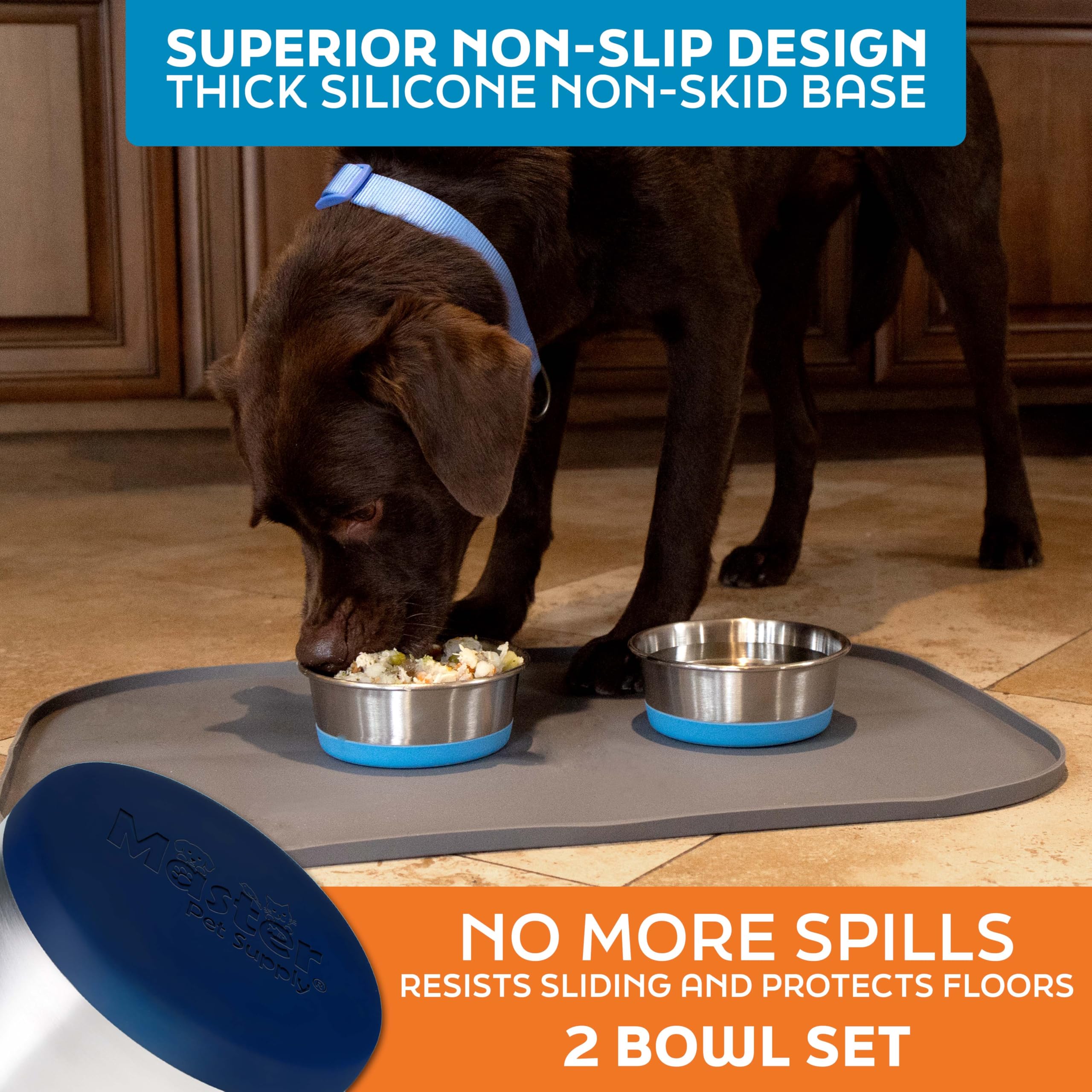 Master Pet Supply gamelle tenue en main pour comparaison taille et capacité