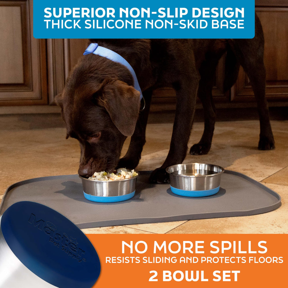 Master Pet Supply gamelle tenue en main pour comparaison taille et capacité