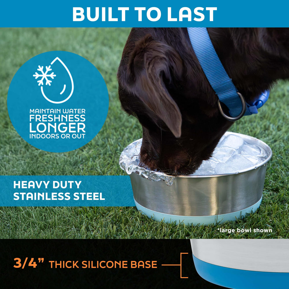 Master Pet Supply gamelle remplie d'eau et croquettes, polyvalence alimentaire
