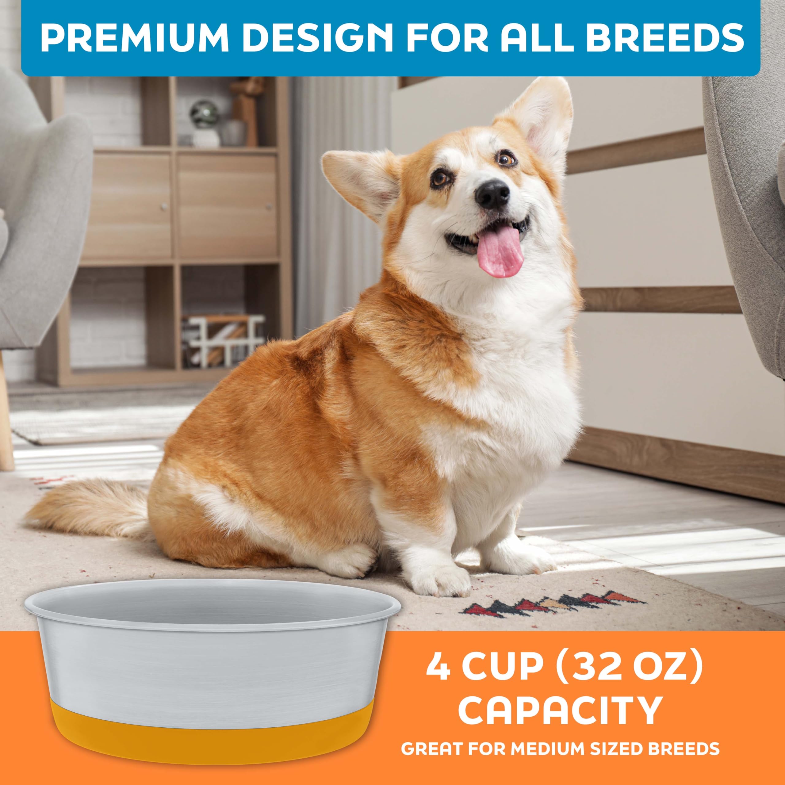Master Pet Supply gamelle au lave-vaisselle, entretien simple et rapide