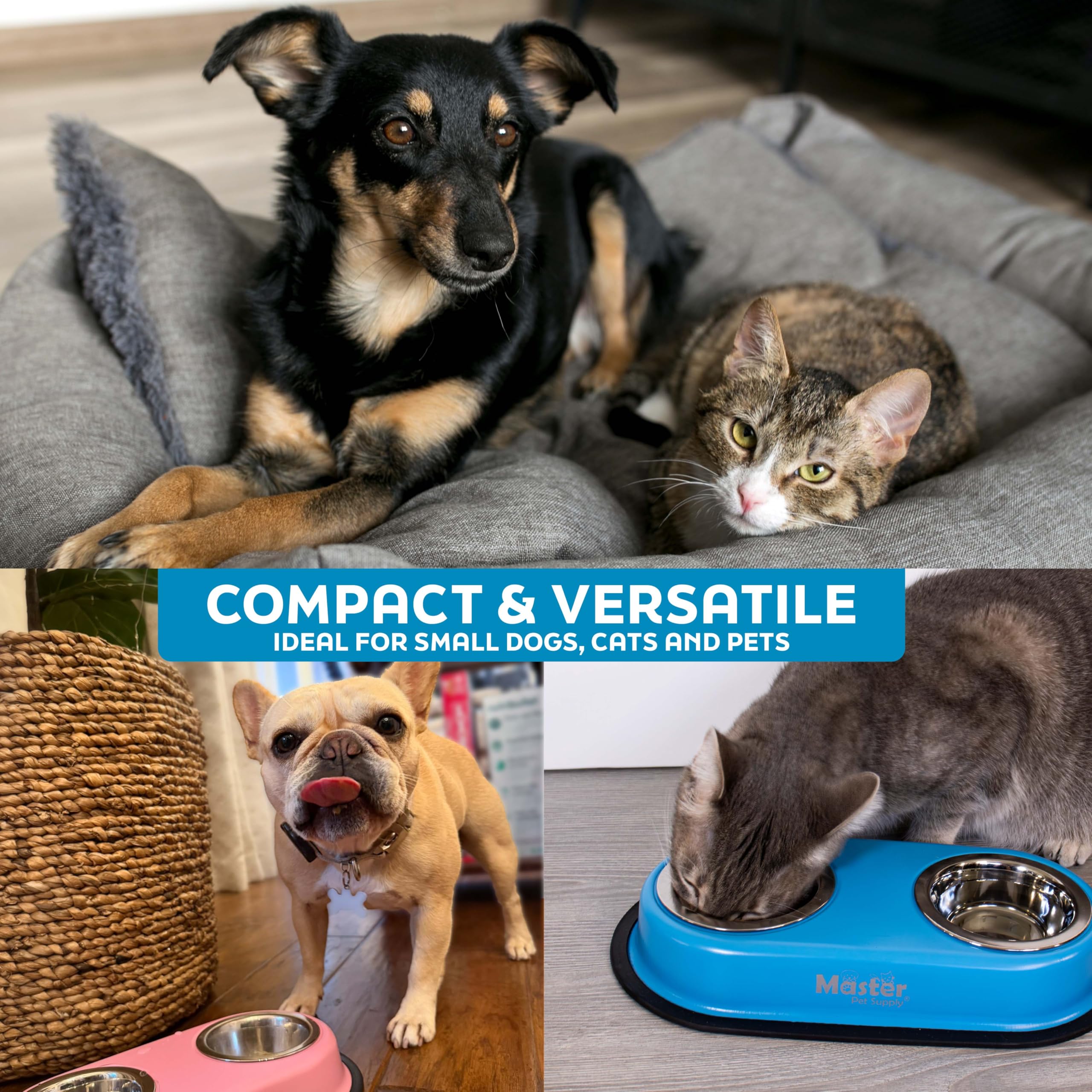 Master Pet Supply gamelles posées en cuisine, look moderne et gain de place