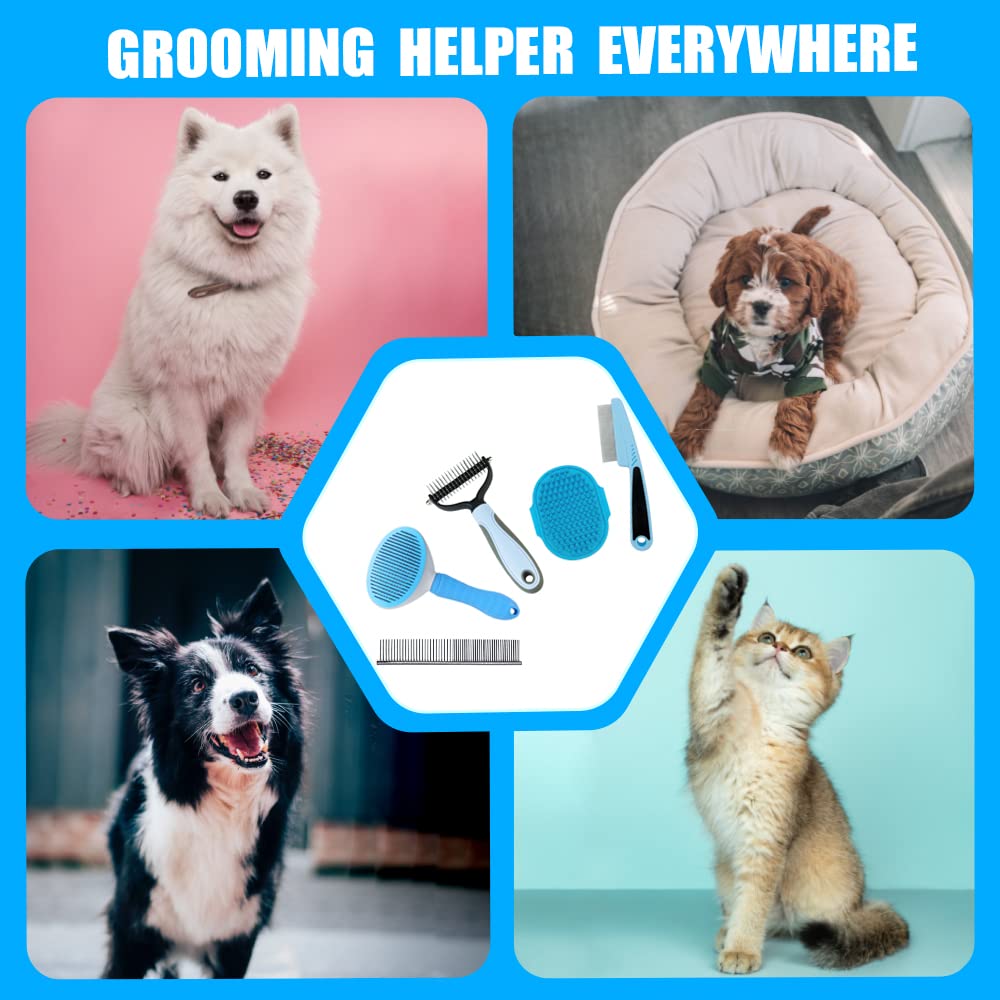 MASTER QUEEN brossage sur chien montre confort et propreté