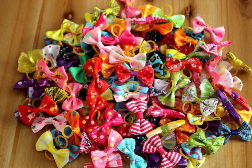 Masue Pets comparaison taille à la main montrant largeur adaptée et maniabilité