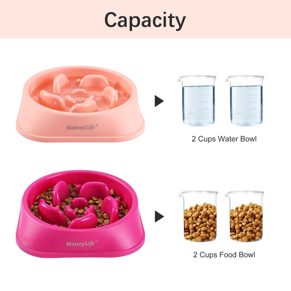 MateeyLife lot de 2 bols présenté pour ménages pratiques et économiques