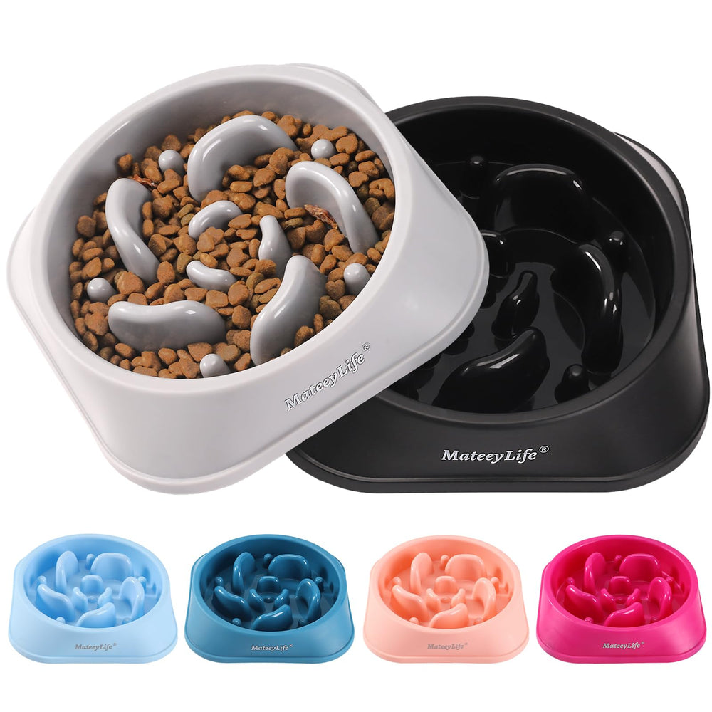 MateeyLife vue frontale du bol puzzle, ralentit la prise alimentaire