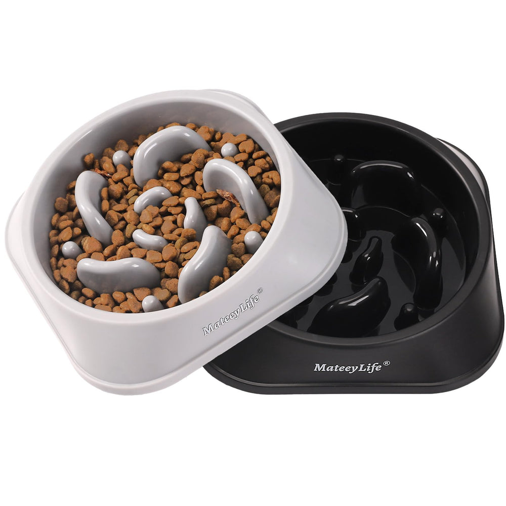 MateeyLife pack deux bols présentés, solution pratique multi-animaux