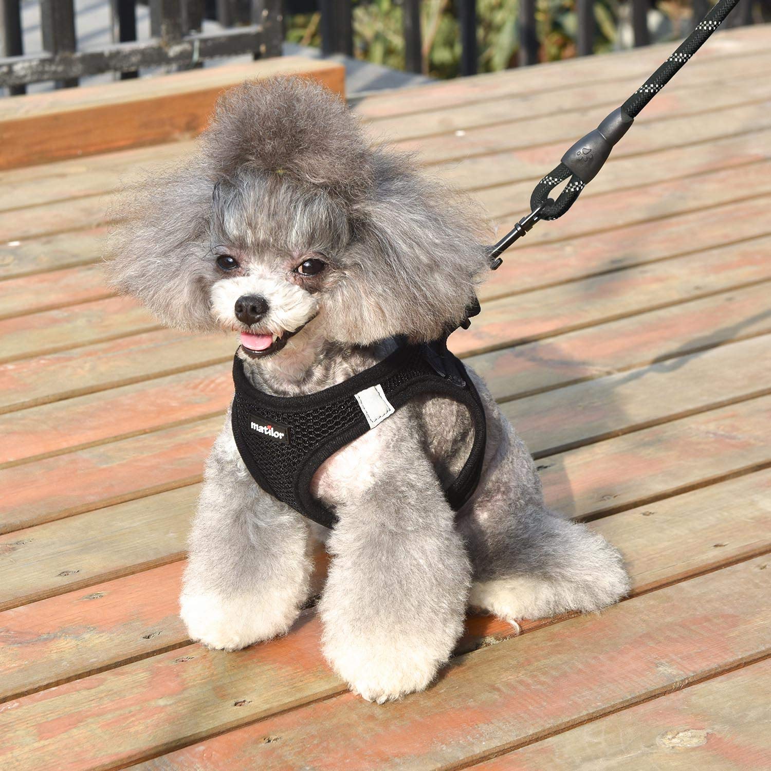 matilor harnais comparaison taille medium montrant dimension adaptée aux chiens moyens
