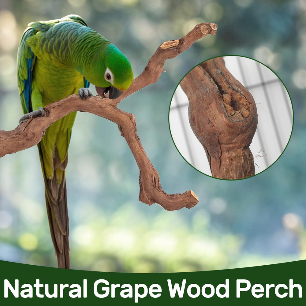 Matutinus branche gros plan texture naturelle pour appui sûr