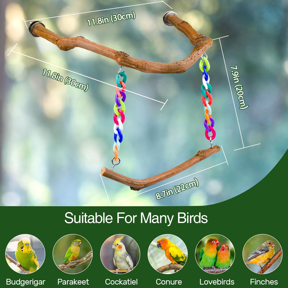 Matutinus comparaison d'échelle illustrant dimensions adaptées petits oiseaux