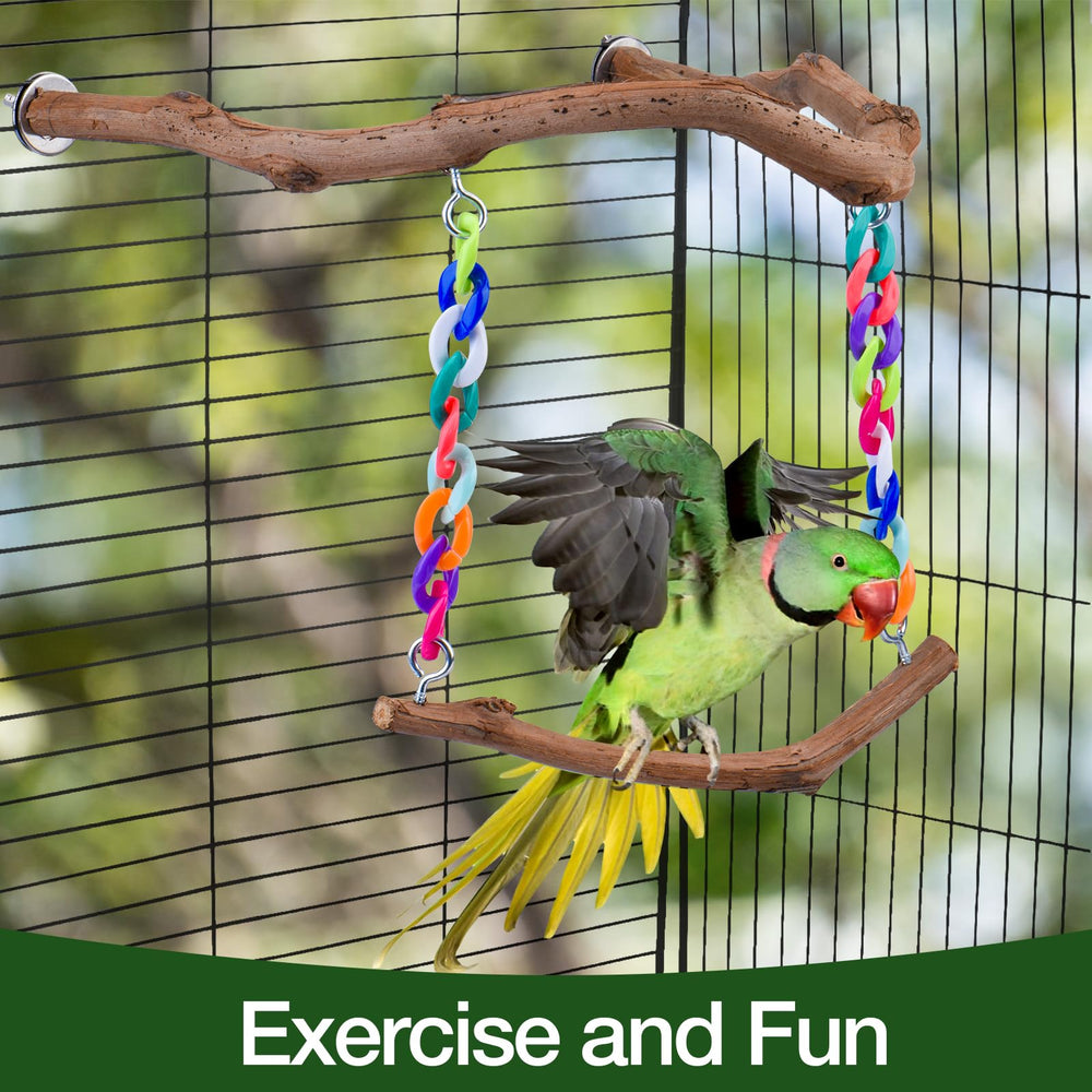 Matutinus perchoir en usage oiseau se balance pour exercice