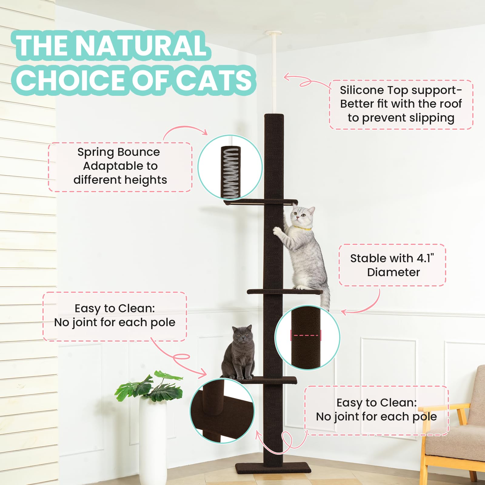 Max & Marlow arbre installé dans un salon optimisant l'espace vertical