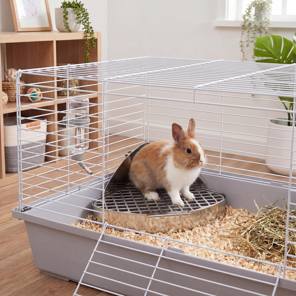 Maxcheck chinchilla utilisant le bac confort et apprentissage toilette