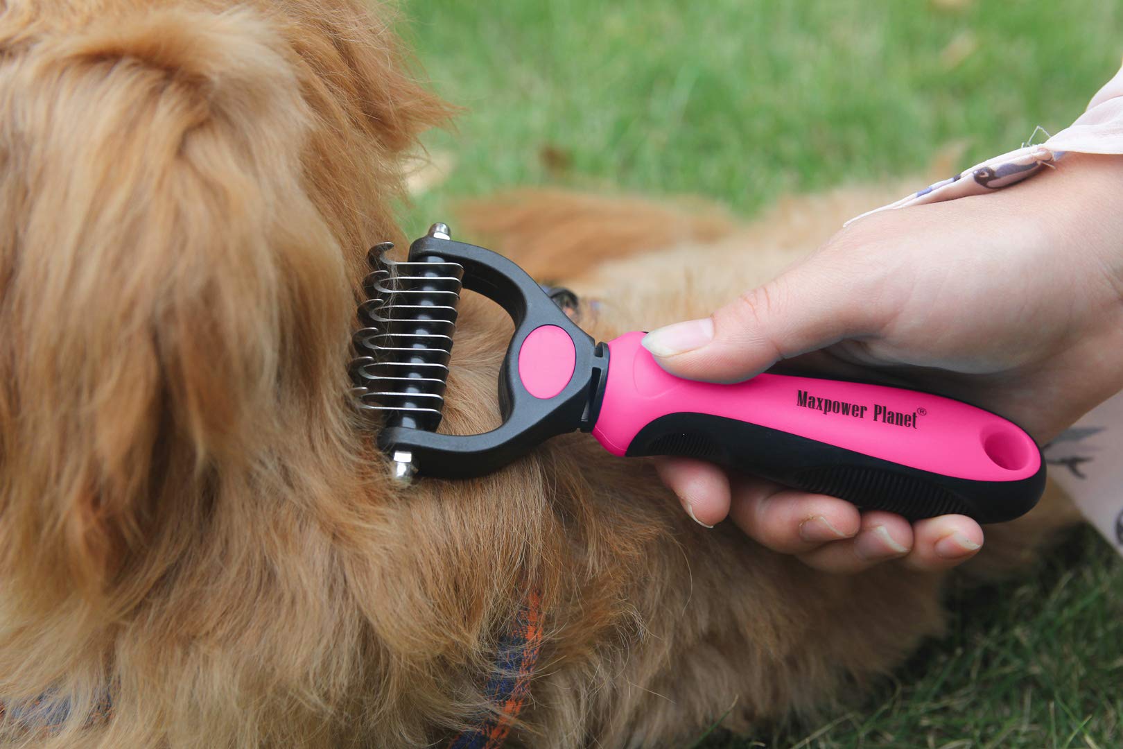 Maxpower Planet brosse utilisée sur un chien épais réduisant efficacement les nœuds