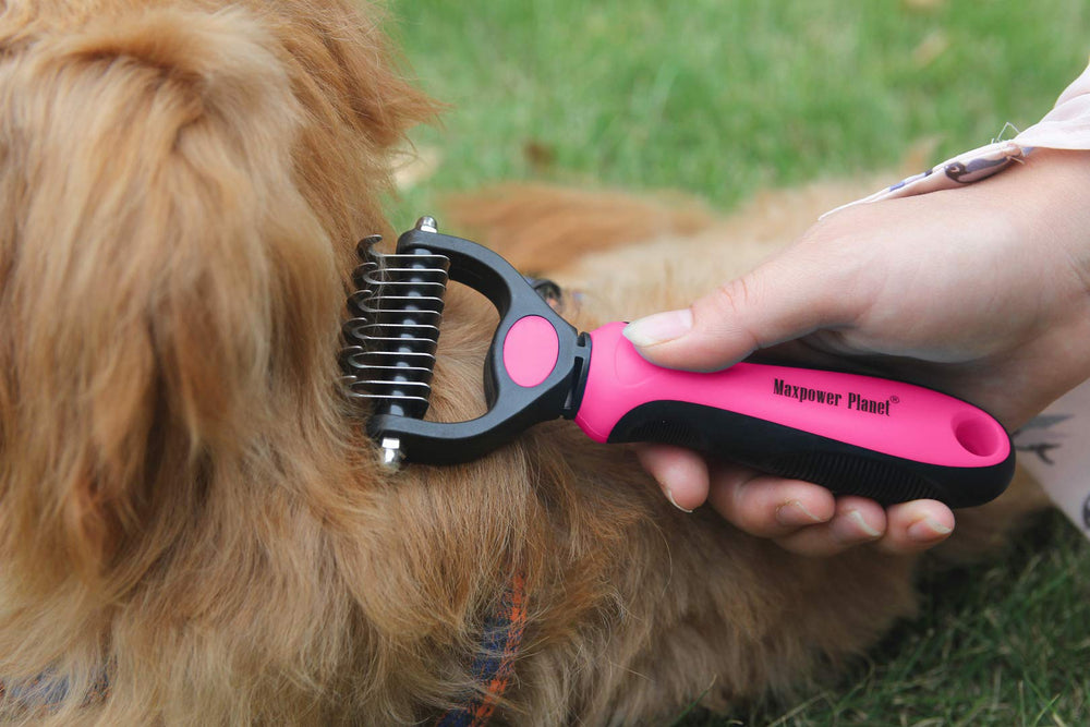 Maxpower Planet brosse utilisée sur un chien épais réduisant efficacement les nœuds