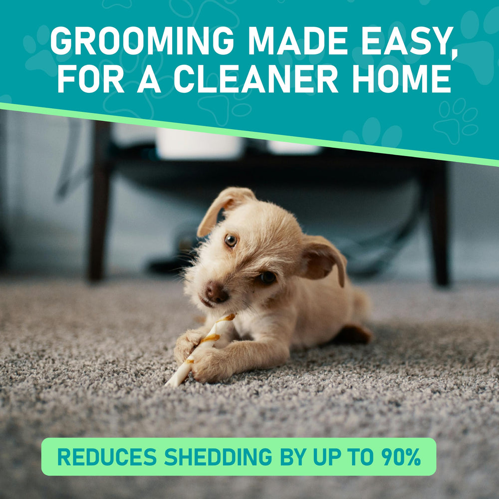Maxpower Planet brosse utilisée sur un chien pour réduire les nœuds et poils