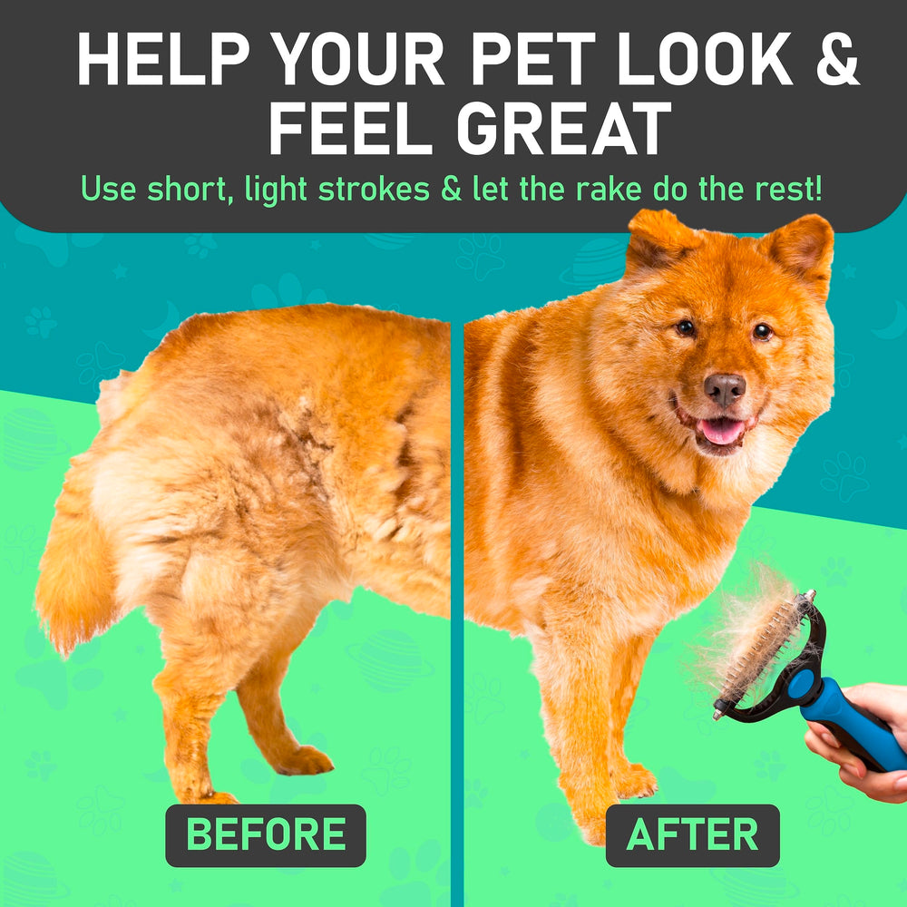 Maxpower Planet utilisé sur un chien pour réduction visible du sous-poil