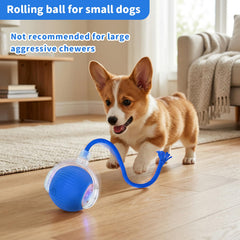 MAXTOOA balle en mouvement sur tapis encourage le jeu actif et l'exercice