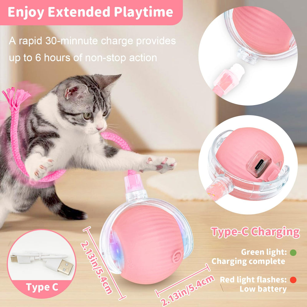 MAXTOOA balle en jeu avec petit chien, chasse adaptée aux races de petite taille