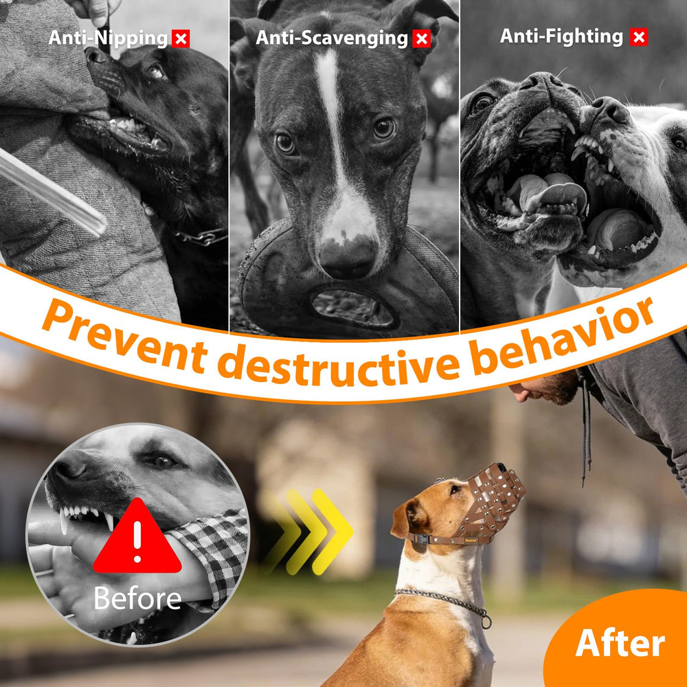 Mayerzon chien boit avec muselière, permet hydratation sans retrait