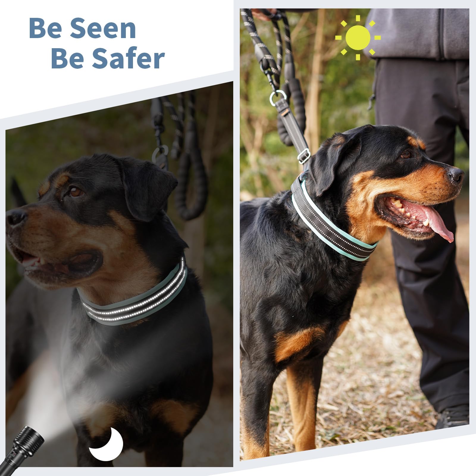 Mayerzon collier illustré sur chien avec repères de taille et ajustements