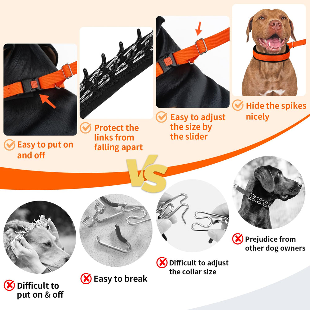 Mayerzon chien en promenade utilisant collier martingale pour meilleure tenue