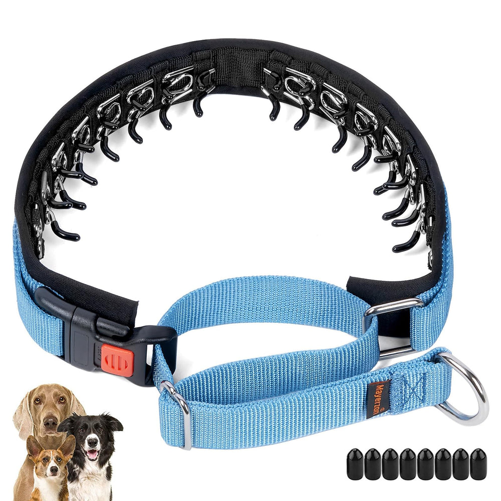 Mayerzon collier martingale vue de face, maintien discret et esthétique
