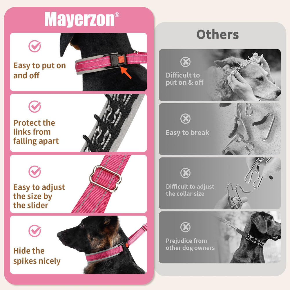 Mayerzon collier porté sur chien en promenade, contrôle renforcé