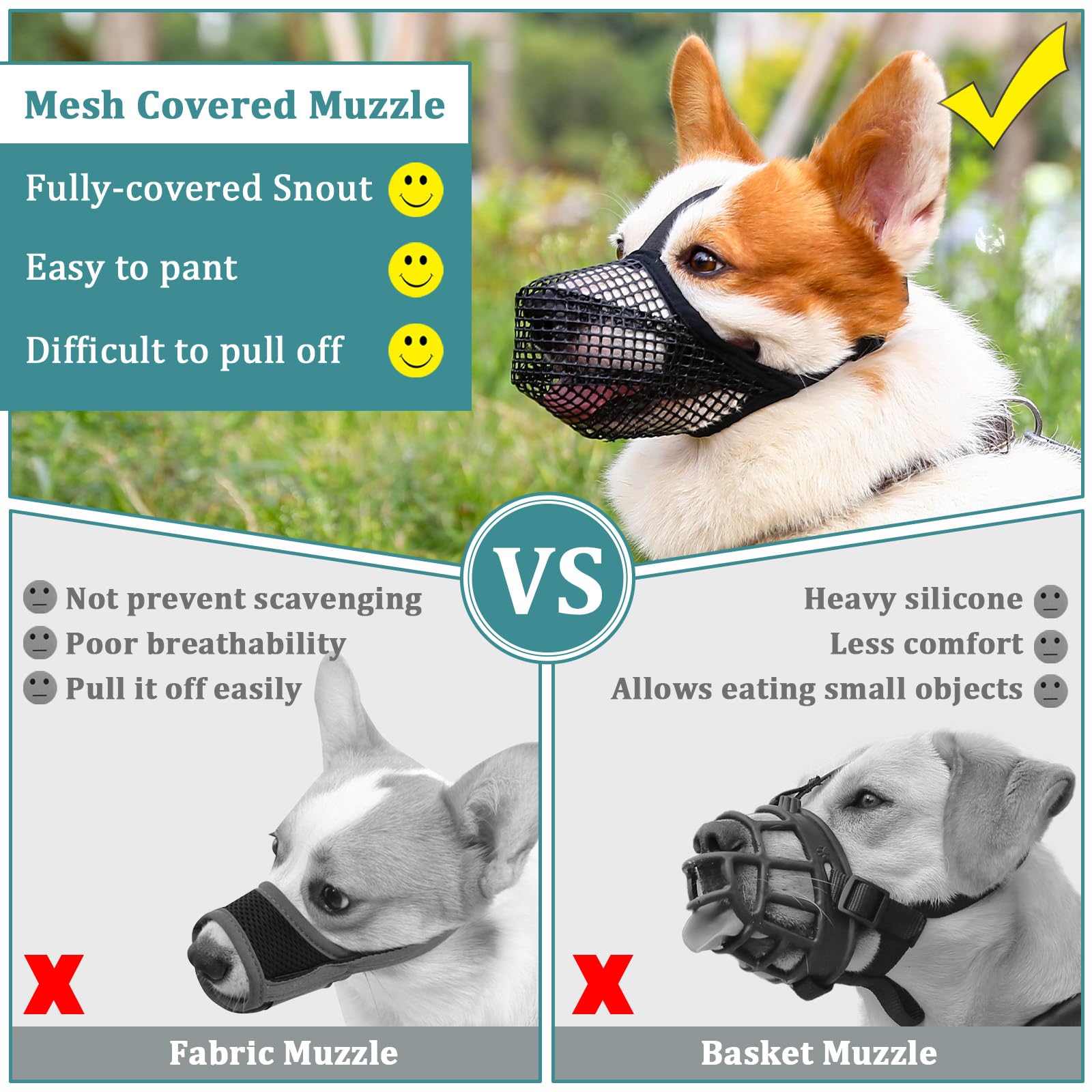 Mayerzon comparaison de taille avec règle pour choisir la bonne muselière