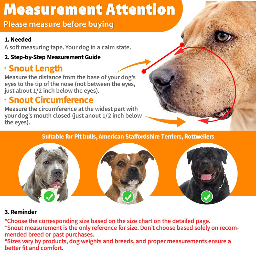 Mayerzon muselière profil détail illustrant solidité et confort pour chien