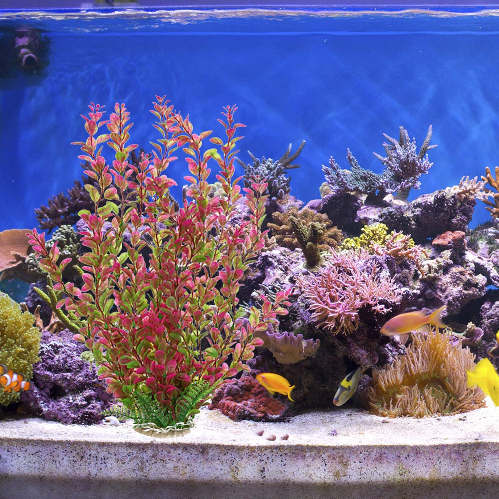 Mayitr comparaison d'échelle montrant la hauteur 18 pouces adaptée aux aquariums moyens