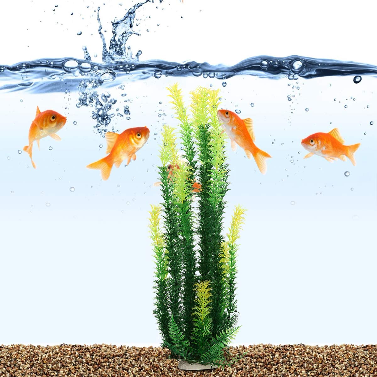 Mayitr plante aquarium base en pierre stable offrant maintien instantané