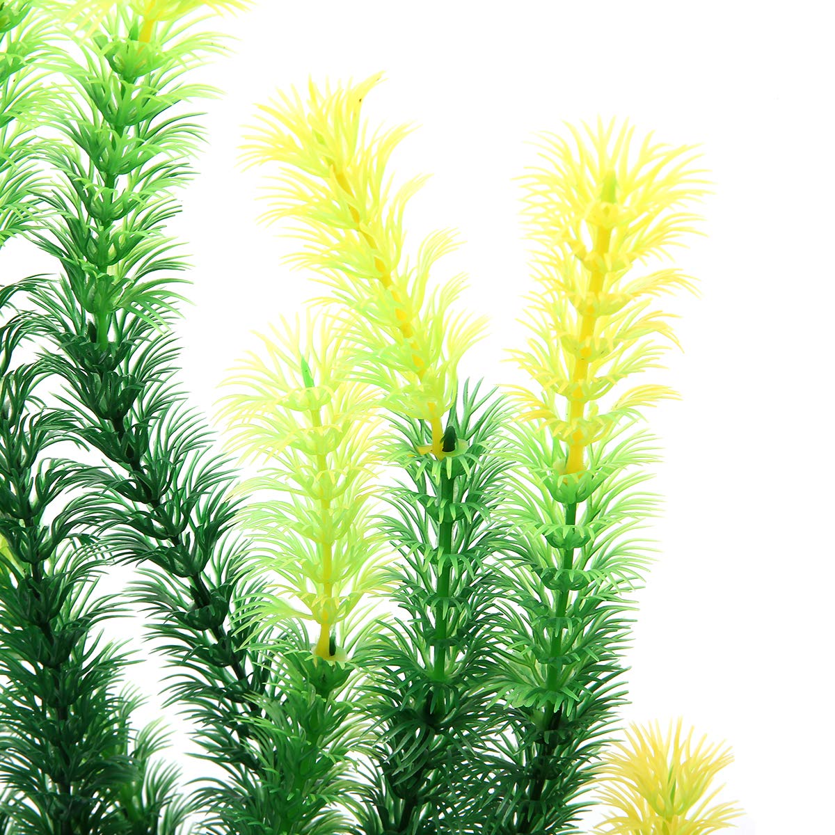 Mayitr plante aquarium intégrée dans un décor pour effet naturel immédiat