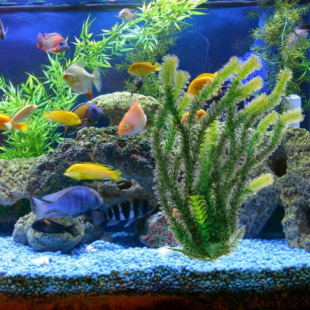 Mayitr plante aquarium texture plastique résistante facile à nettoyer
