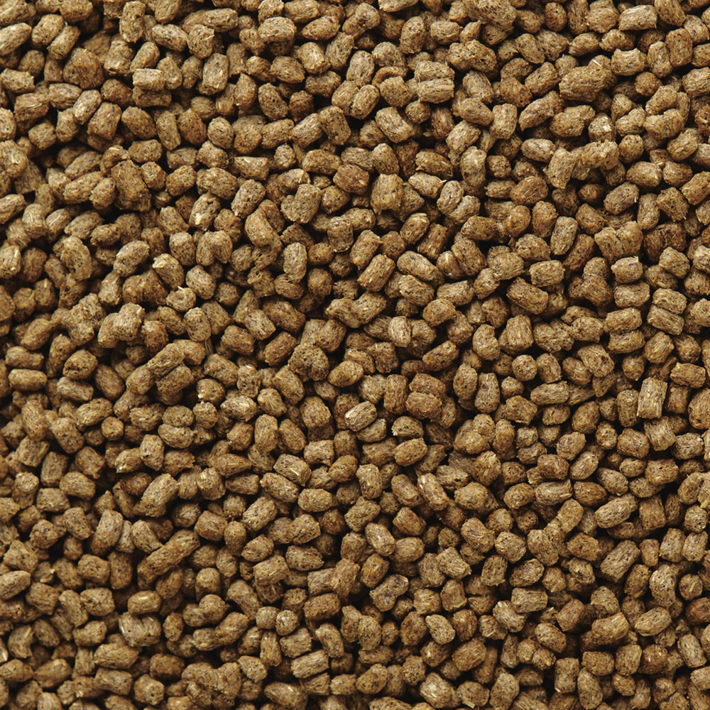 Mazuri mise en scène dans terraire suggérant alimentation équilibrée