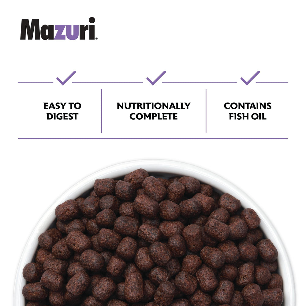 Mazuri furet en lifestyle montrant pelage brillant grâce aux oméga‑3