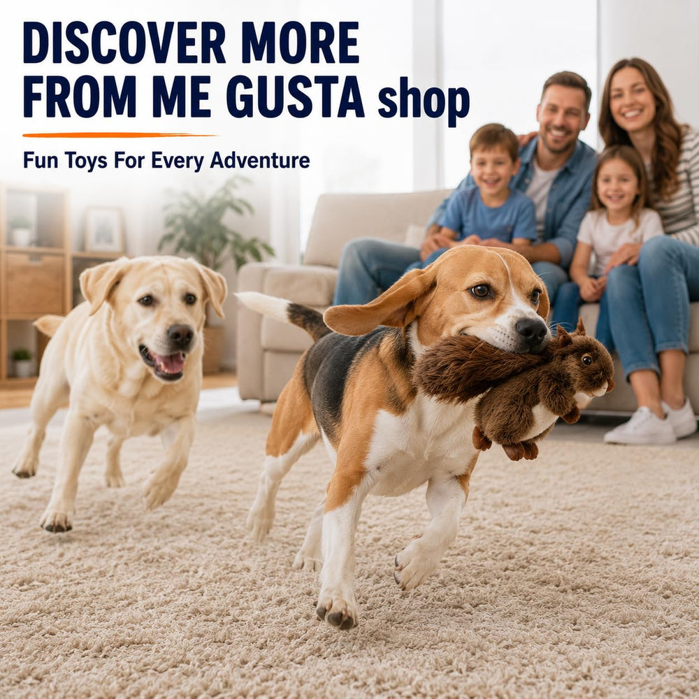 ME GUSTA SHOP chien jouant avec écureuil pour encourager activité et retour