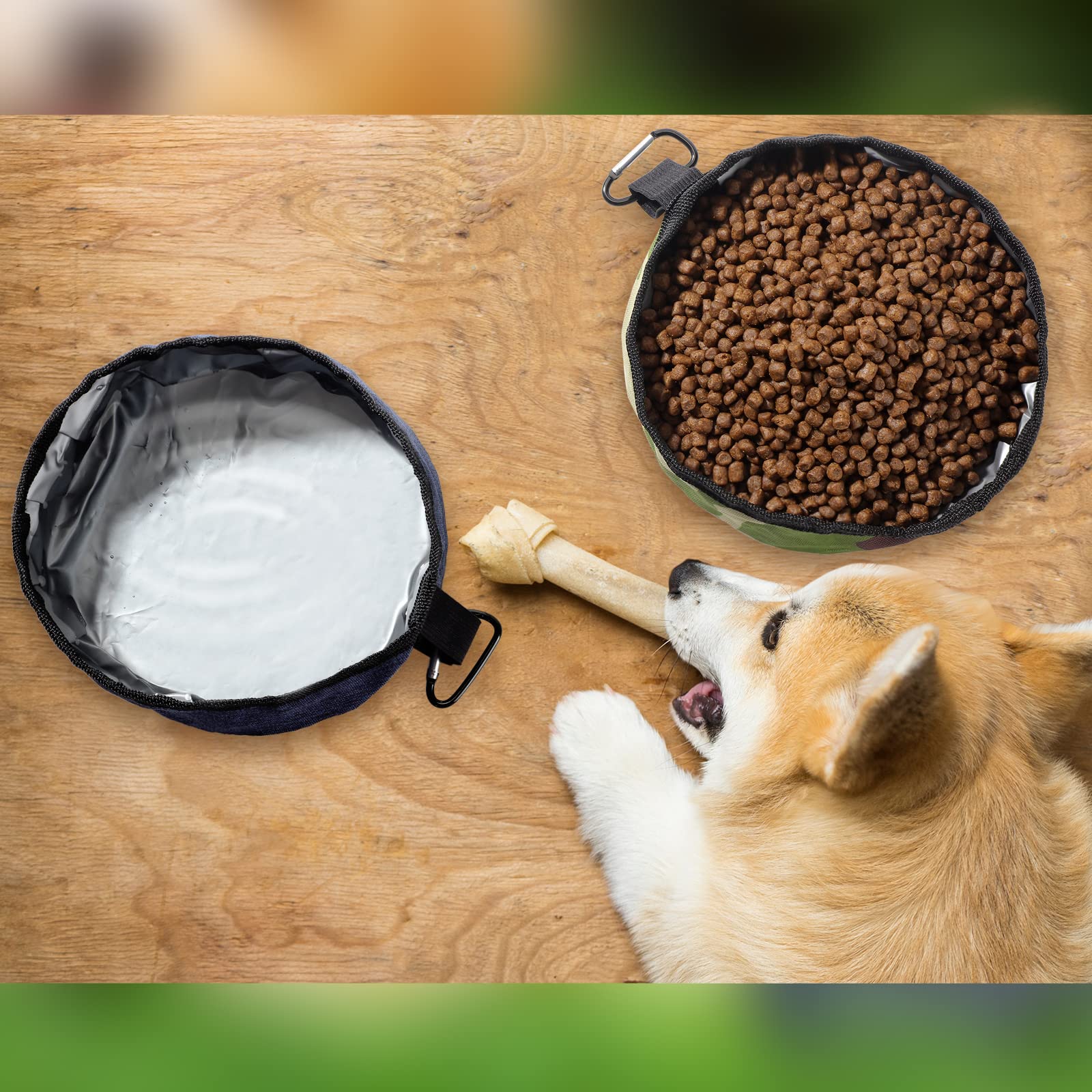 Meanplan gamelle en extérieur illustrant usage en randonnée pour chiens