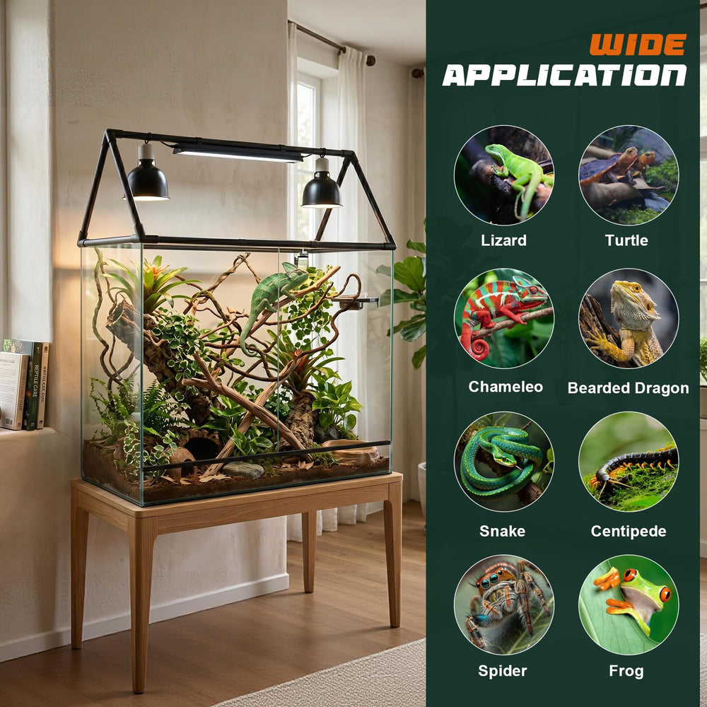 MECESOR scène lifestyle terrarium éclairé, solution compacte et propre